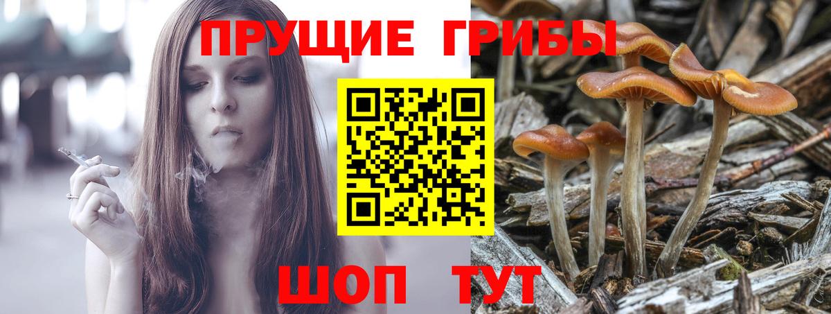 Псилоцибиновые грибы мицелий Соликамск